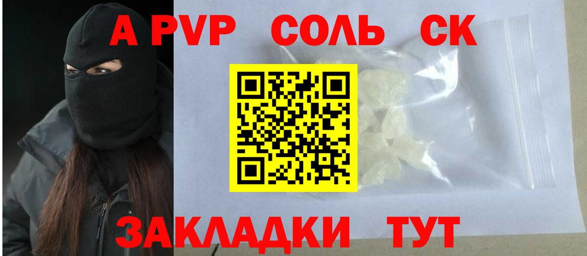 Альфа ПВП СК КРИС Сочи
