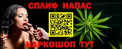 гидра Нарткала