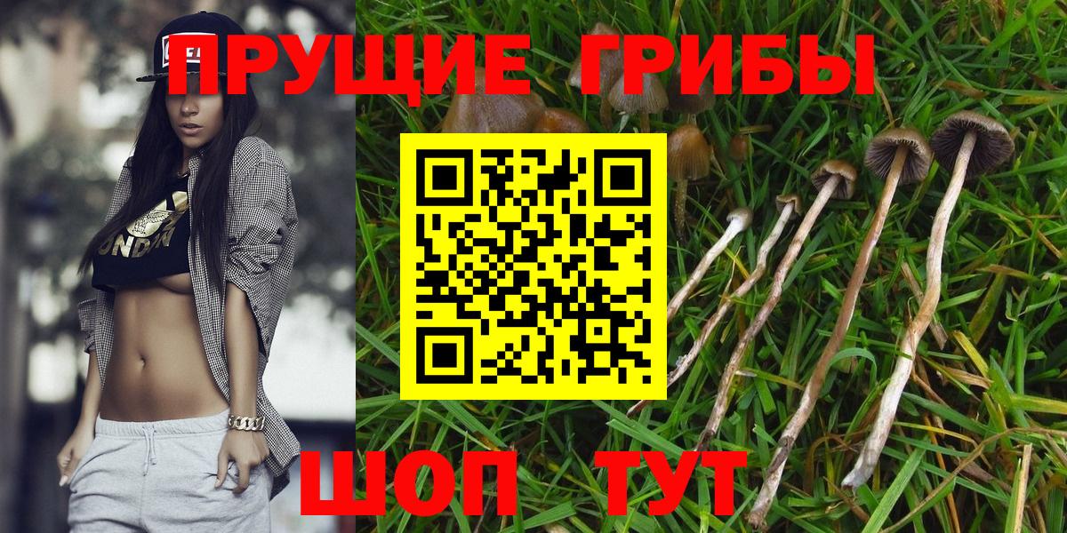 Псилоцибиновые грибы прущие грибы  Вход с VPN  Галлюциногенные грибы Magic Shrooms  как найти   Сочи 