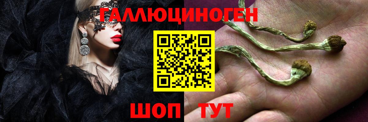 Галлюциногенные грибы прущие грибы Сочи